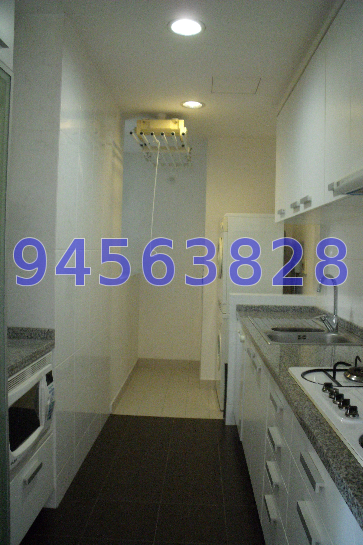 Amaryllis Ville (D11), Condominium #49465402